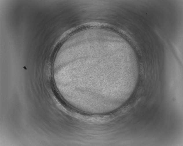 X0000080720016200701021106