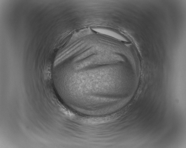 X0000080720017200701021106