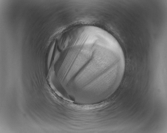 X0000080720019200701021106