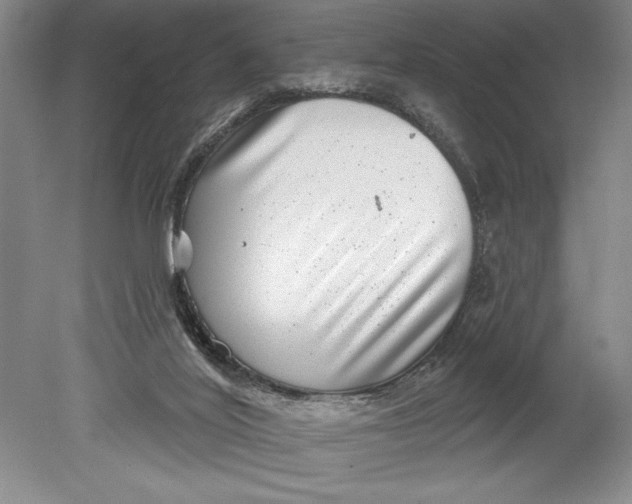 X0000080720020200701021106