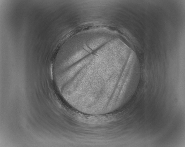 X0000080720022200701021106