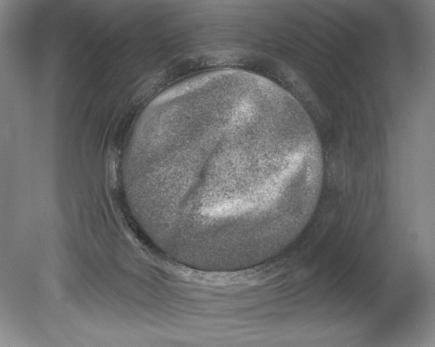 X0000080720026200701021106