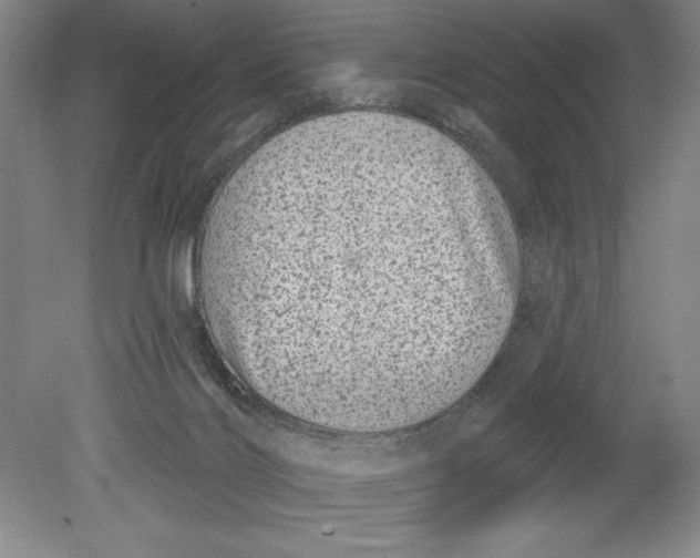 X0000080720028200701021106