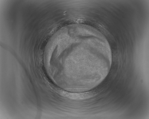 X0000080720030200701021106