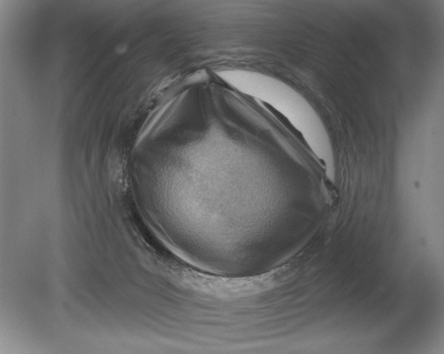 X0000080720031200701021106