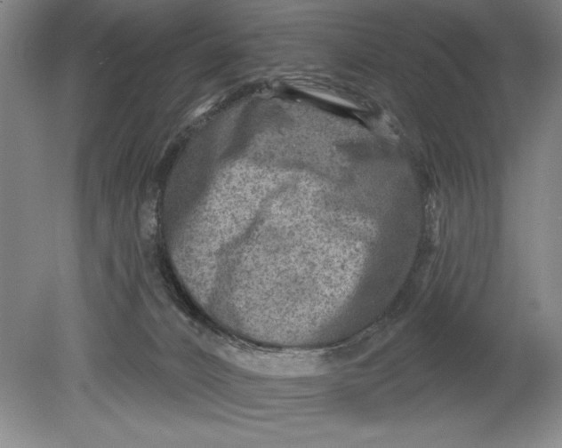 X0000080720032200701021106