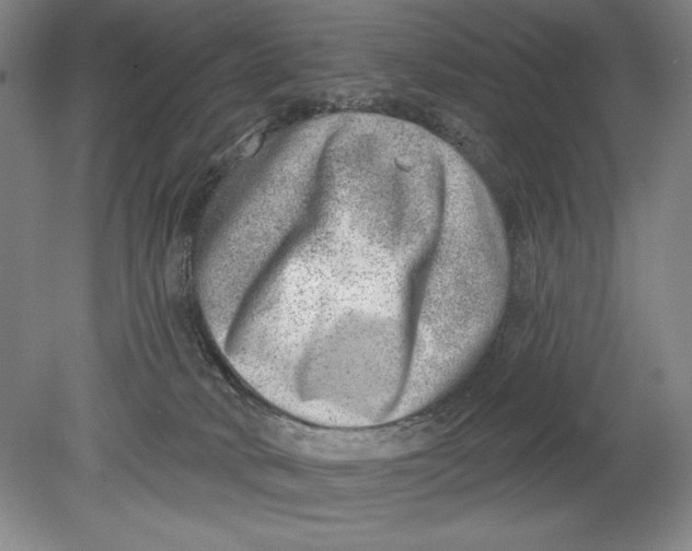 X0000080720034200701021106