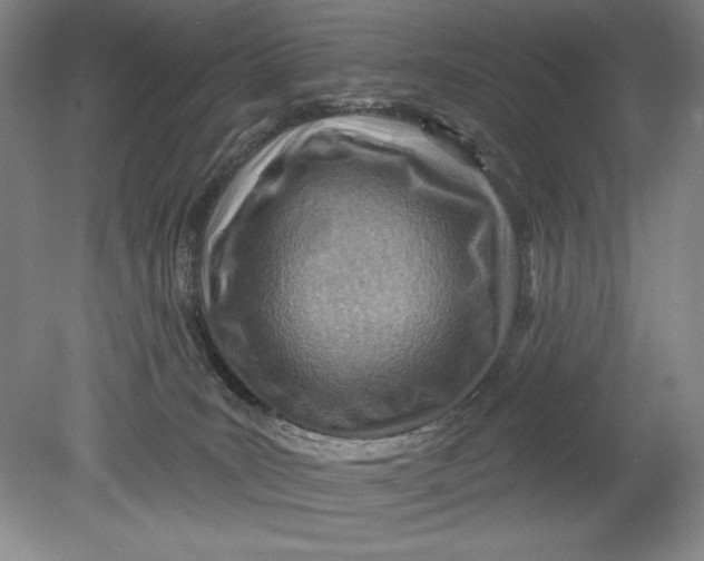 X0000080720035200701021106