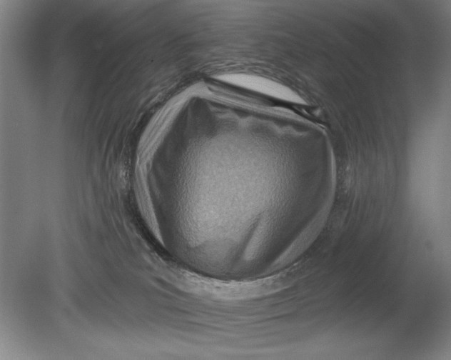 X0000080720039200701021105