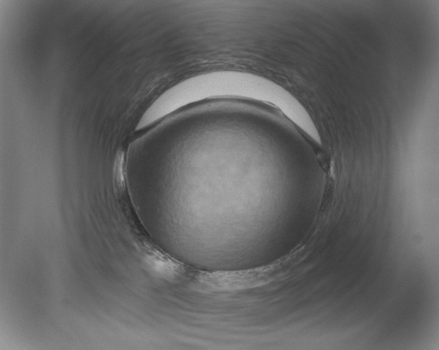 X0000080720041200701021105