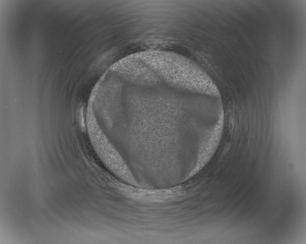 X0000080720042200701021105