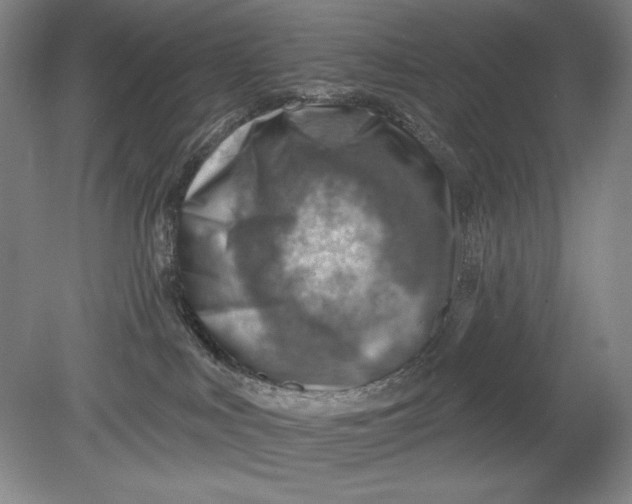 X0000080720043200701021105