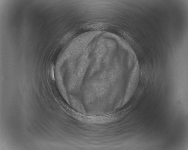 X0000080720046200701021105