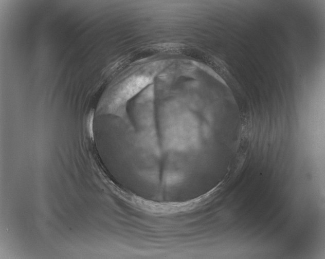 X0000080720047200701021105