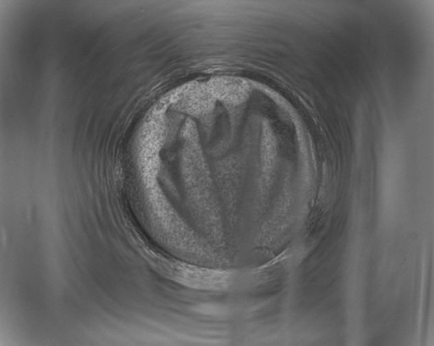 X0000080720048200701021105