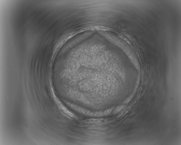 X0000080720049200701021104