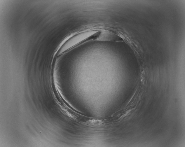 X0000080720052200701021105