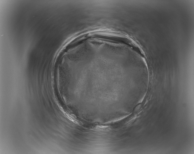 X0000080720055200701021105