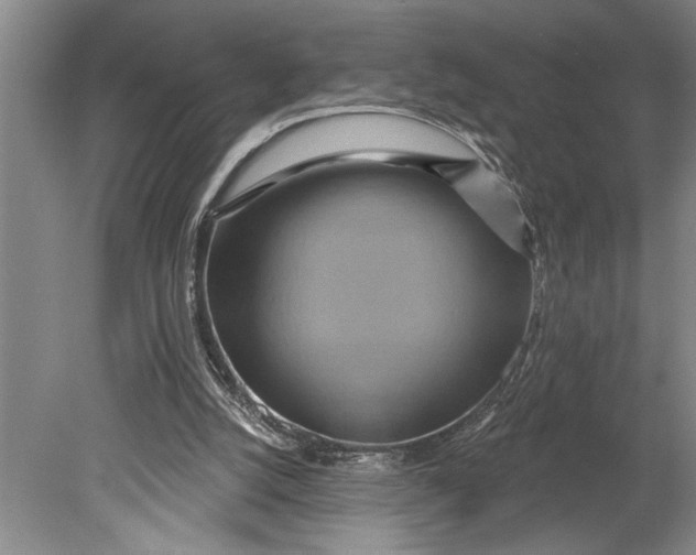 X0000080720056200701021105