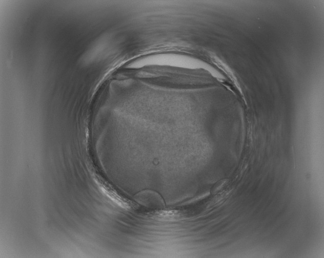 X0000080720059200701021105