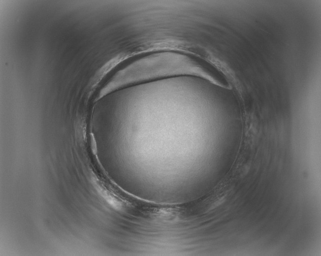 X0000080720060200701021105