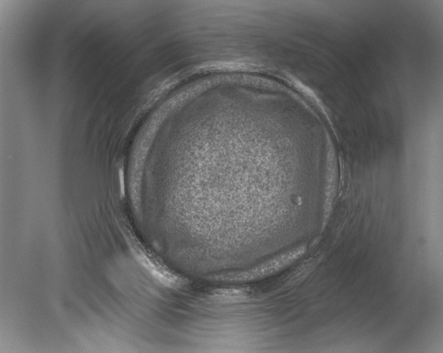 X0000080720061200701021105