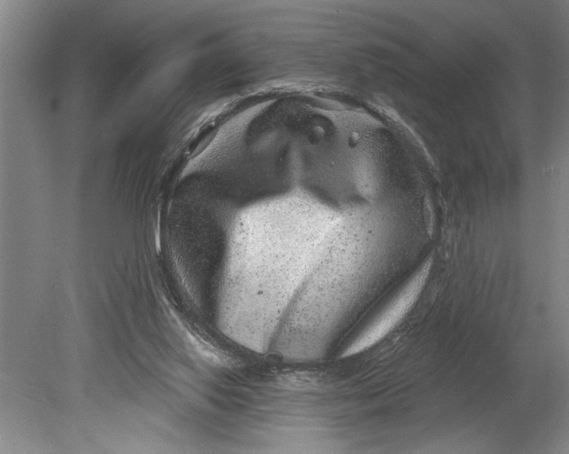 X0000080720062200701021105