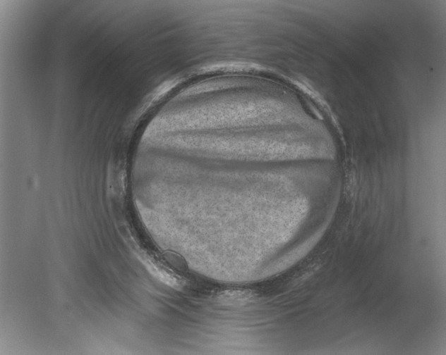 X0000080720063200701021105