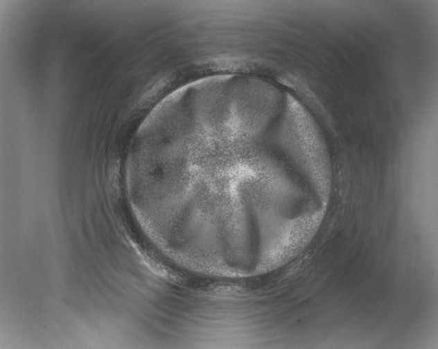 X0000080720066200701021105