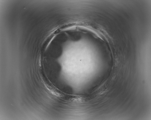 X0000080720068200701021105