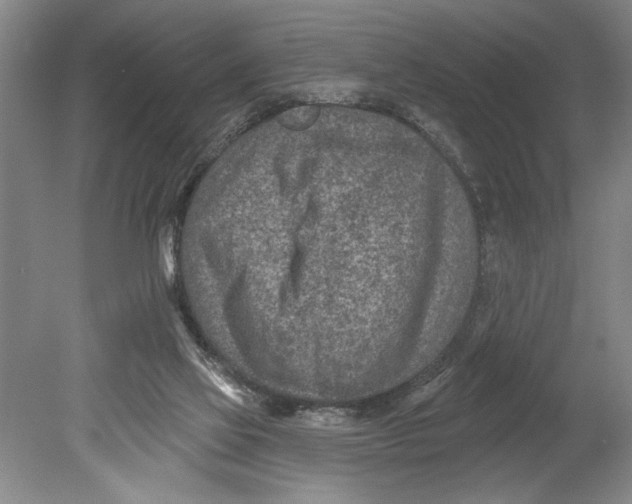 X0000080720069200701021105