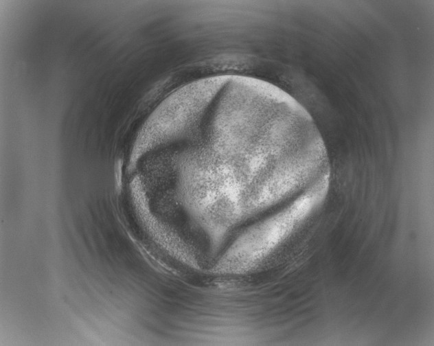 X0000080720070200701021105