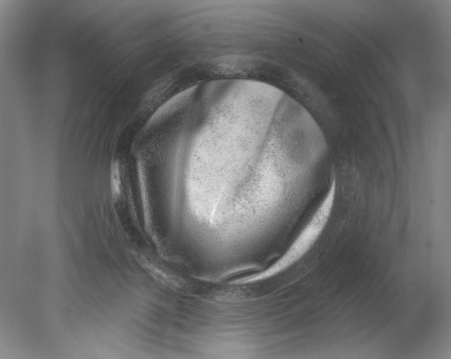 X0000080720075200701021105