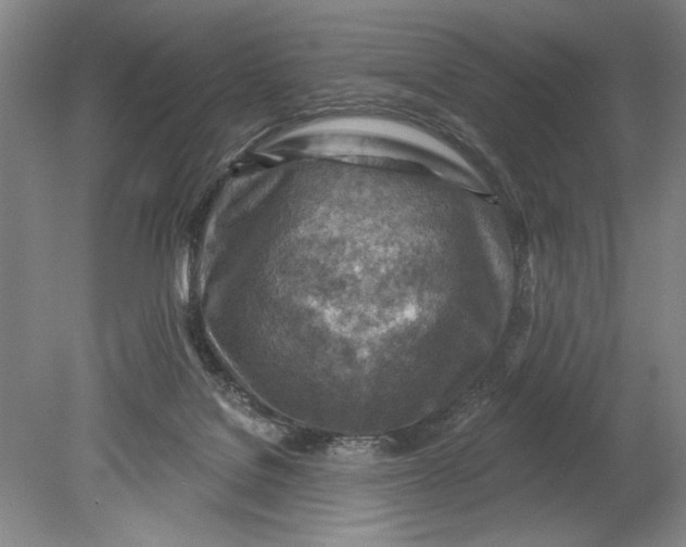 X0000080720076200701021105