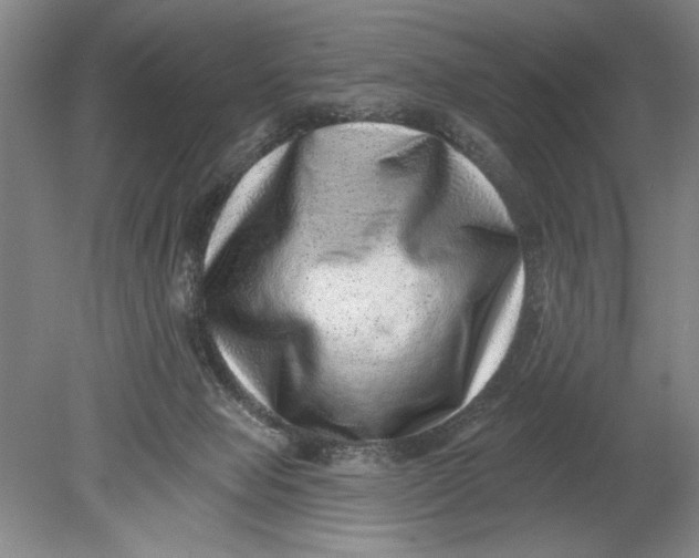 X0000080720077200701021105