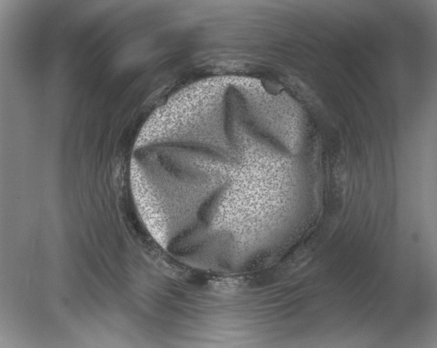 X0000080720079200701021105