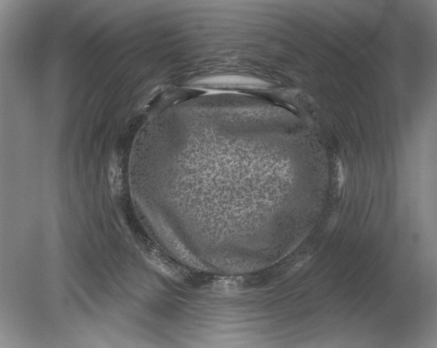 X0000080720080200701021105