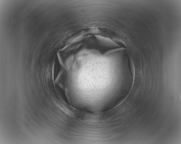 X0000080720081200701021105