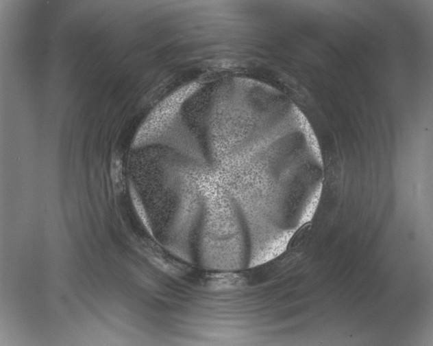 X0000080720087200701021105