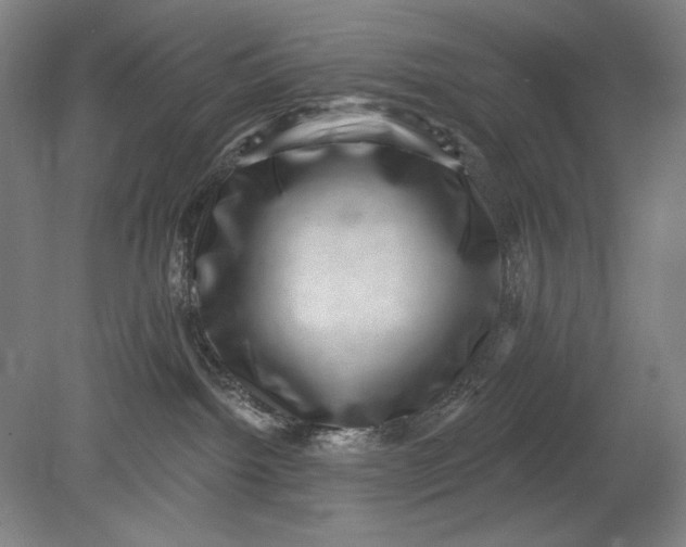 X0000080720092200701021105