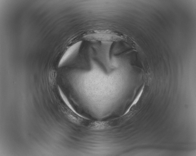 X0000080720093200701021105