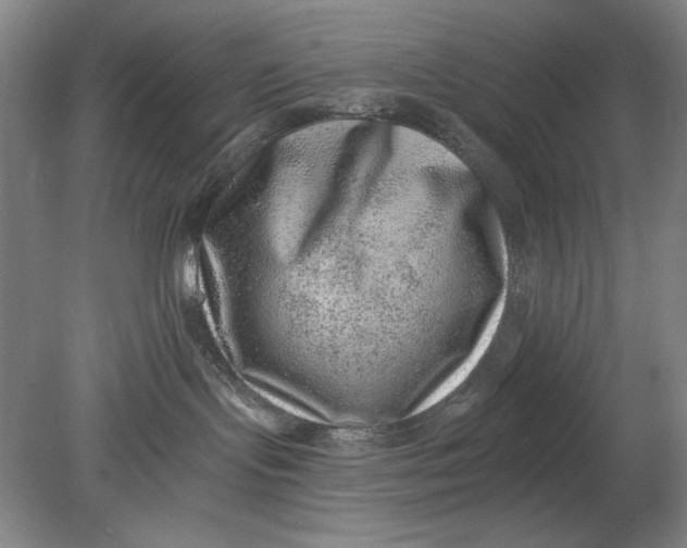 X0000080720095200701021105