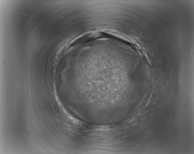 X0000080720097200701021104