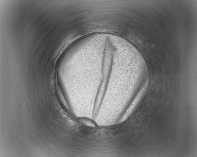 X0000080720098200701021104