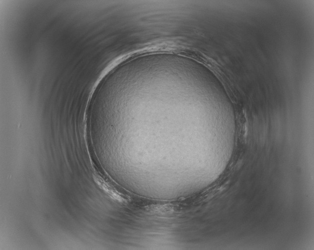 X0000080720100200701021104