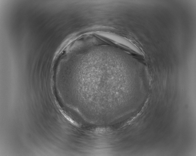 X0000080720101200701021104