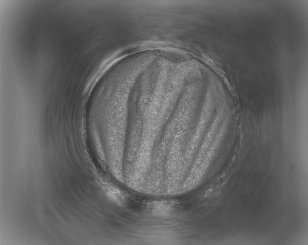 X0000080720103200701021104