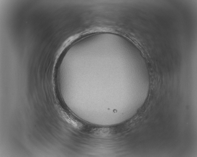 X0000080720104200701021104