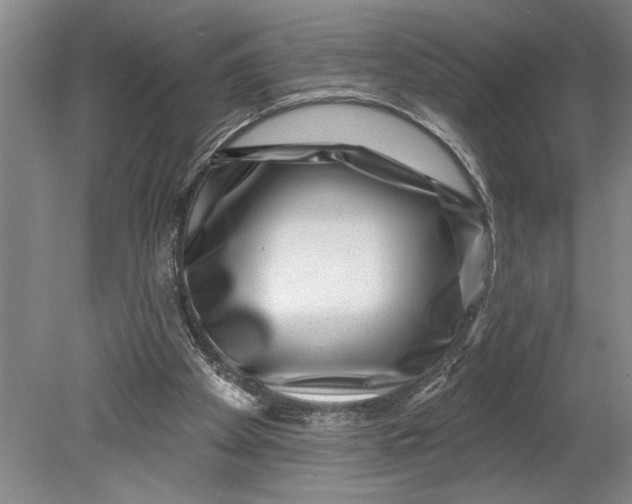 X0000080720105200701021104