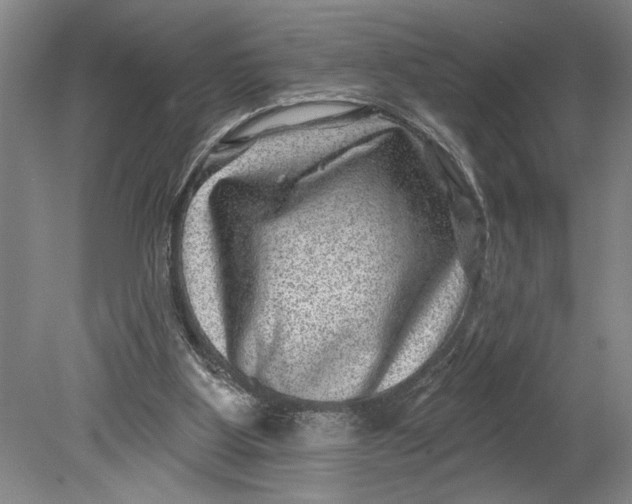 X0000080720107200701021104